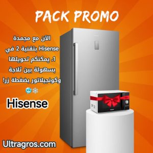 Congélateur Vertical HISENSE- 385L - Convertible - Inverter