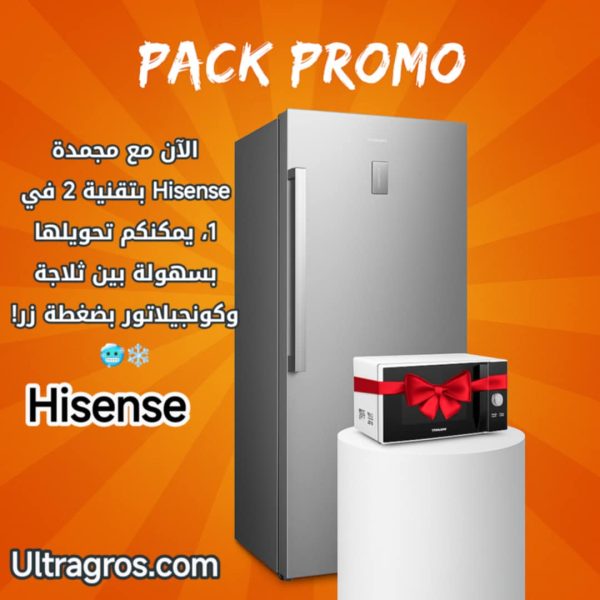 Congélateur Vertical HISENSE- 385L - Convertible - Inverter